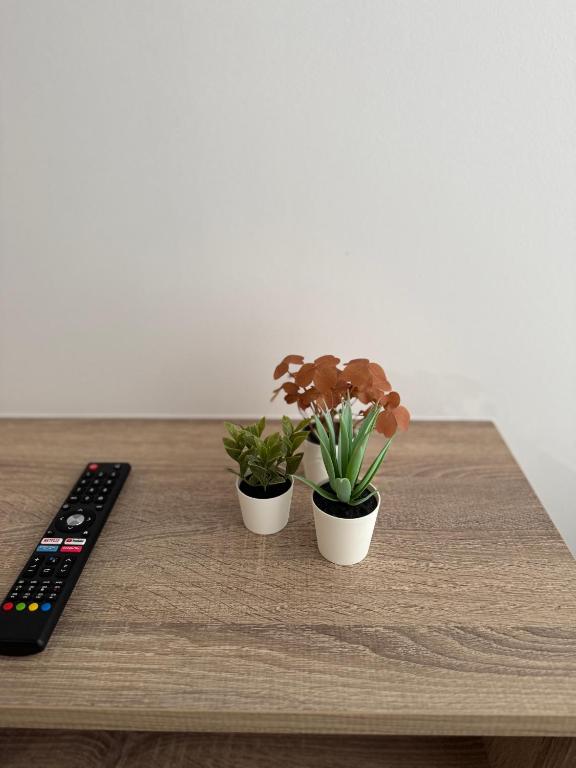 Apartamentos Turisticos Peregrin Palas - 12