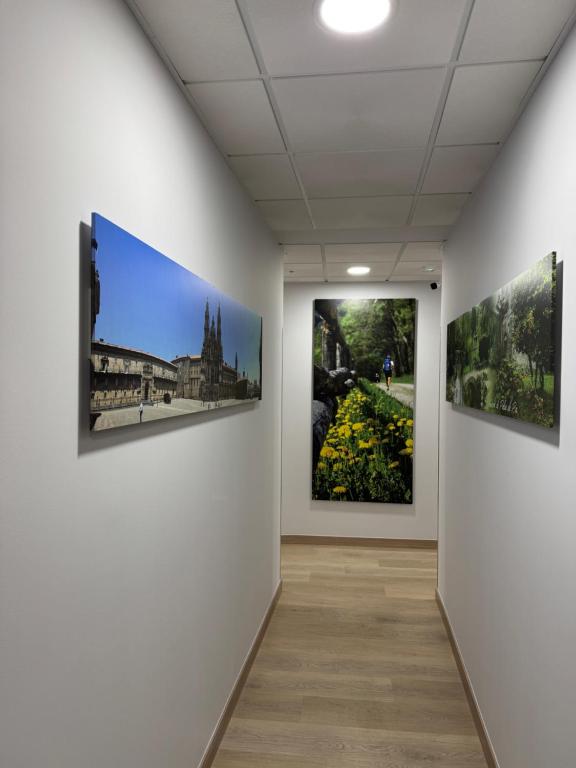 Apartamentos Turisticos Peregrin Palas - 3