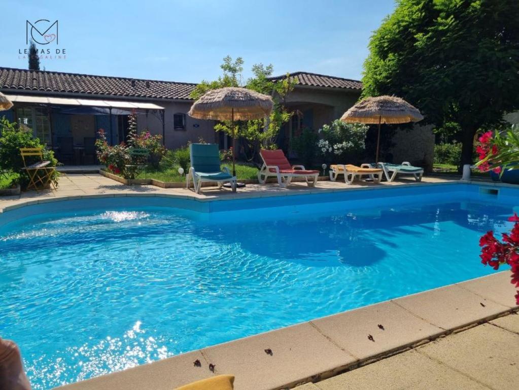 une grande piscine bleue avec chaises et parasols dans l'établissement Mas de la Cigaline Gîte & chambres d'hôtes de charme Var, à Garéoult