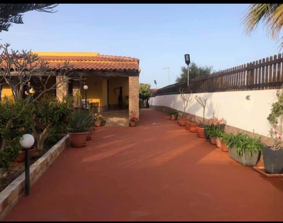 a walkway leading to a building with potted plants at Villette ad uso turistico per affitti brevi in Lampedusa
