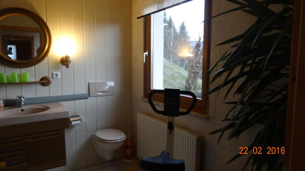 Koupelna v ubytování Ferienwohnung Schlemmer