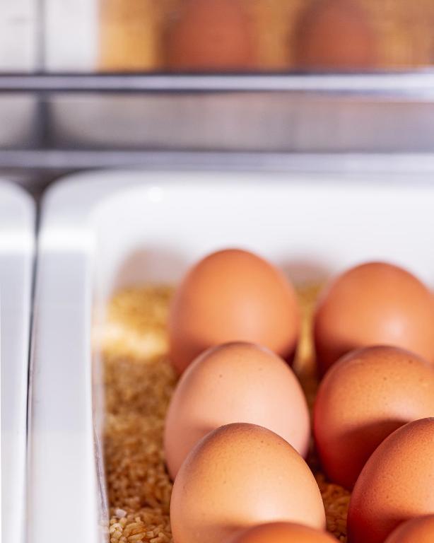 Altstadt Hotel Hofwirt Salzburg - Resim 30