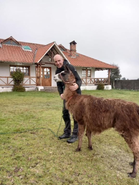 Zvířata v hotelu nebo okolí
