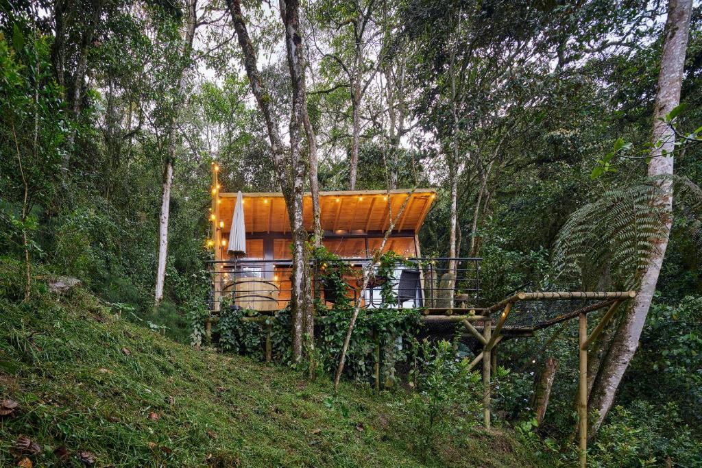 Κήπος έξω από το Onirico Refugio