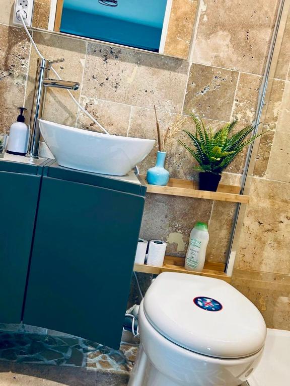 une salle de bain avec des toilettes blanches et un lavabo dans l'établissement Parlementaire européen, waken schiltigheim, à Schiltigheim