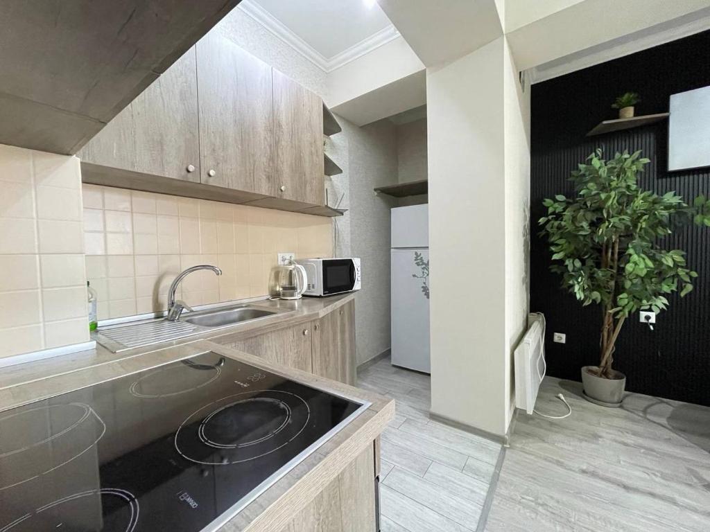 eine Küche mit Spüle und Arbeitsplatte in der Unterkunft Apartament in Chişinău