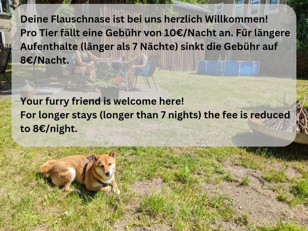 Domácí mazlíčci ubytovaní s hosty v ubytování H4 - Urlaubsmagie - Kleiner Wohlfühlort mit Pool