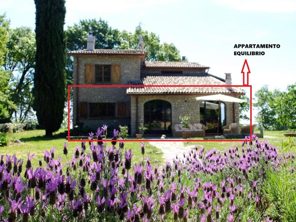 Zahrada ubytování Agriturismo Sanventura