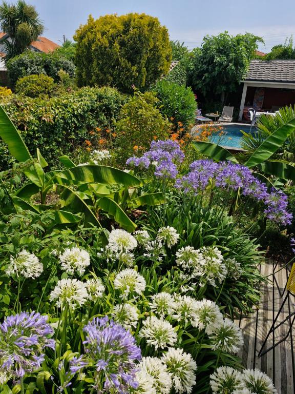 un jardin avec des fleurs blanches et violettes à côté d'une clôture dans l'établissement Maison Klein 8 voyageurs proche Bordeaux, à Mérignac