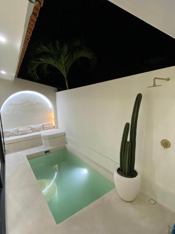 a bathroom with a cactus in the middle of a room at villa Noham canggu 5mn beach in Canggu
