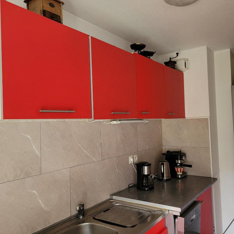 Kuchyň nebo kuchyňský kout v ubytování Appartement pechDavid SUD