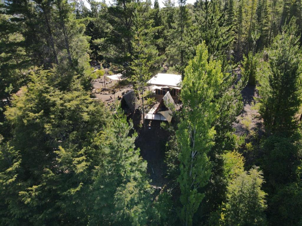 Příroda nedaleko luxury tent