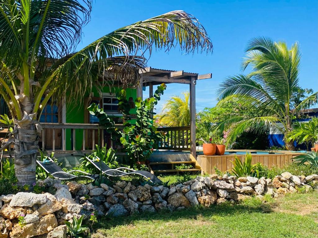 Κήπος έξω από το The WildSide Aruba Caribbean Cabanas
