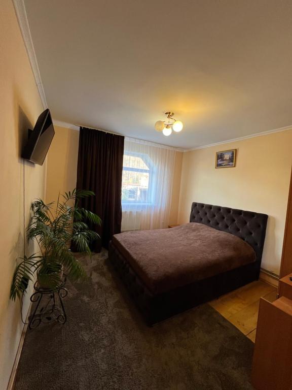 a bedroom with a bed and a plant in it at Cottage u Romana in Yaremche