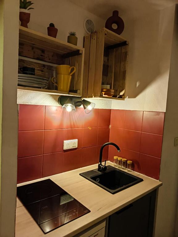 - une cuisine avec un évier et du carrelage rouge dans l'établissement LePimpant, à Avignon