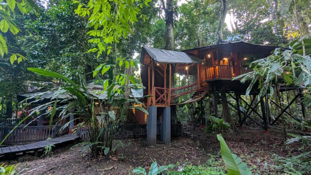 a tree house in the middle of the forest at Tree House Beachfront Lodge in Puerto Viejo