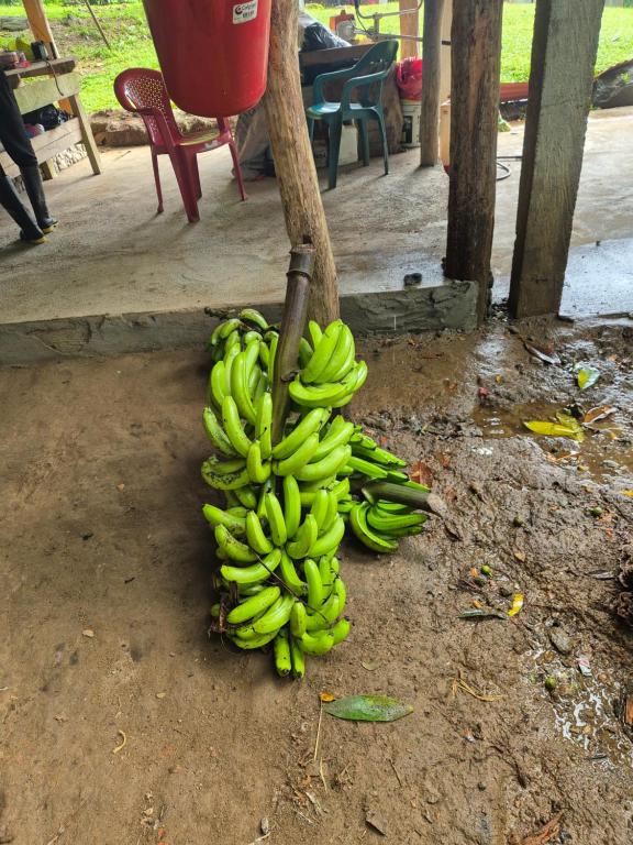 Fotografie z fotogalerie ubytování Eco Farmstay Finca Las Aguas v destinaci Santa Marta