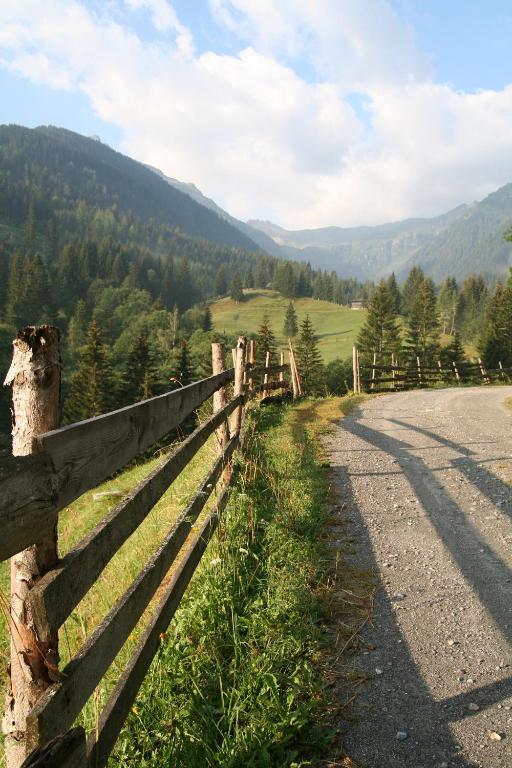 Príroda v okolí horskej chaty