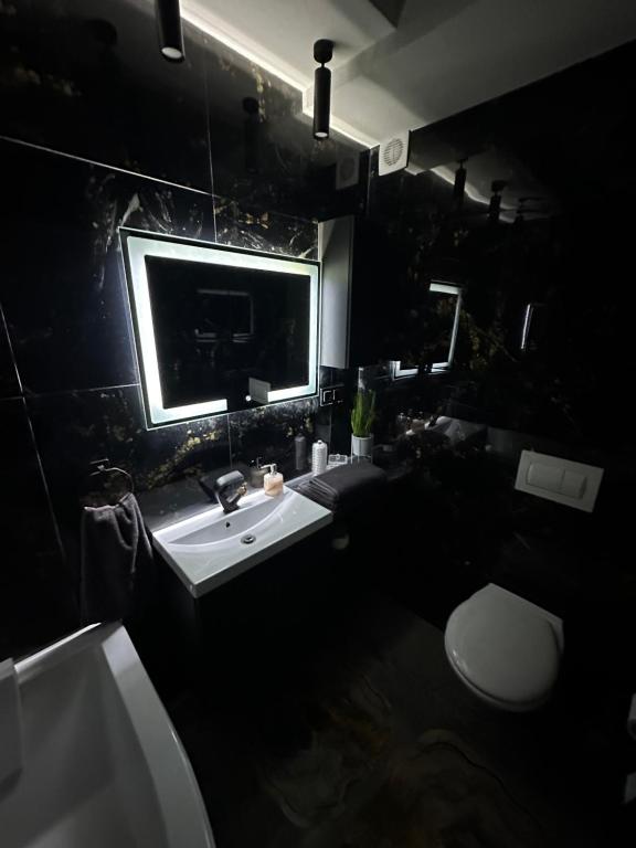 een zwarte badkamer met een wastafel en een toilet bij Rezidențial 1 in Baia Mare