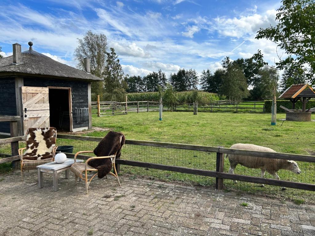 Zahrada ubytování Geldersche tuin 6 persoons