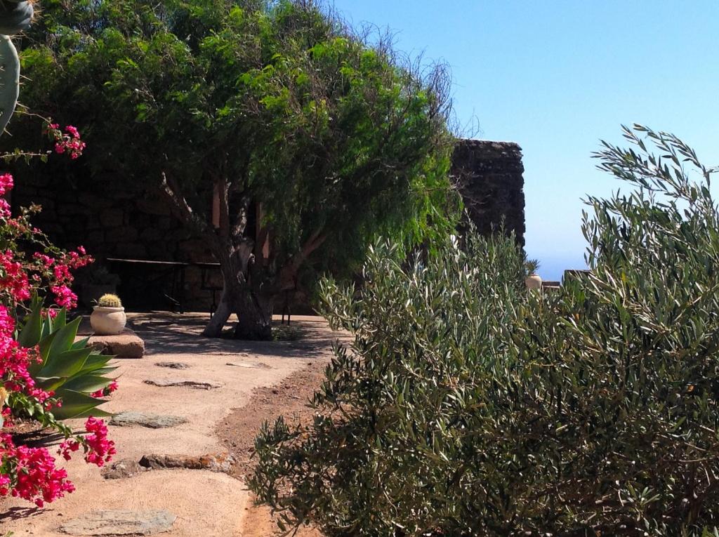 A garden outside B&b Le Mareddre