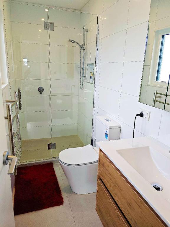 基督城LilyのHome Elegant Retreat near Riccarton Mall的带淋浴、马桶和水槽的浴室