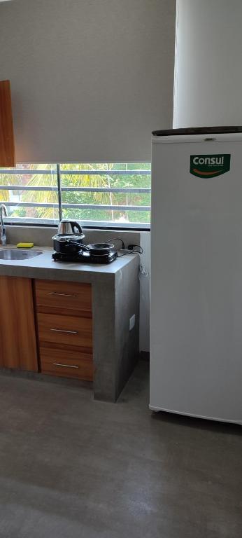 Kuchyň nebo kuchyňský kout v ubytování Departamento101