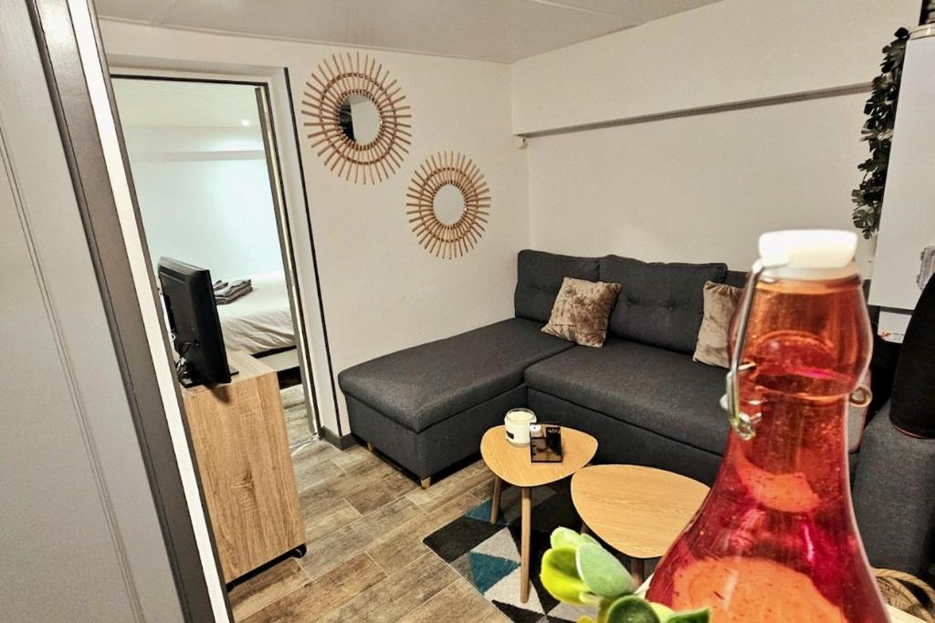 un salon avec un canapé et une table dans l'établissement Charmant studio 30m2, à Clermont-Ferrand