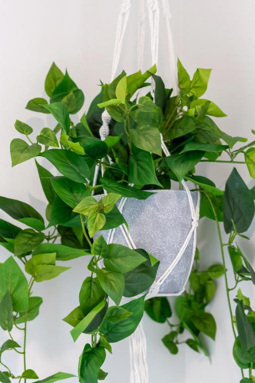 Spacious City Retreat Perfect for Getaways - Resim 26