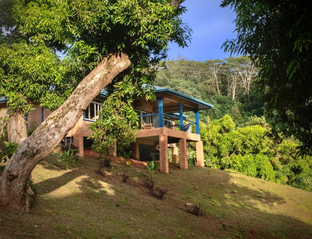Potter House TSUKAMOTO Vue sur Baie de Maroe, Huahine - photo 9 - Huahine, Polynésie