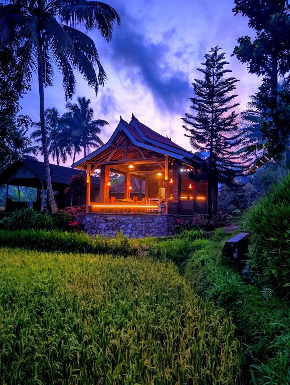 Tereng Wilis bungalows - 17