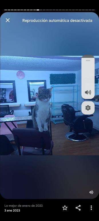 Φωτογραφία από το άλμπουμ του Magic σε Sahuayo de José María Morelos