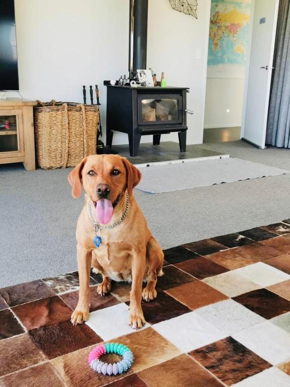 Hilltop Whakaipo Estate - Resim 9