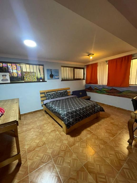 Mad Vervet Backpackers Hostel - Budget Double Room