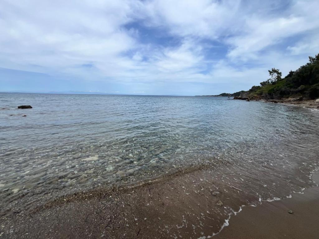 Príroda v okolí hotela
