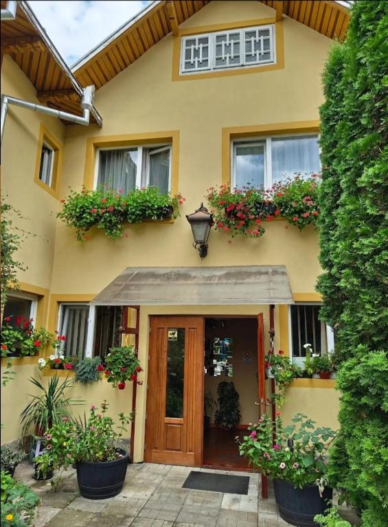 a yellow house with flower boxes on the front door at B&B Dumbrava in Gura Humorului