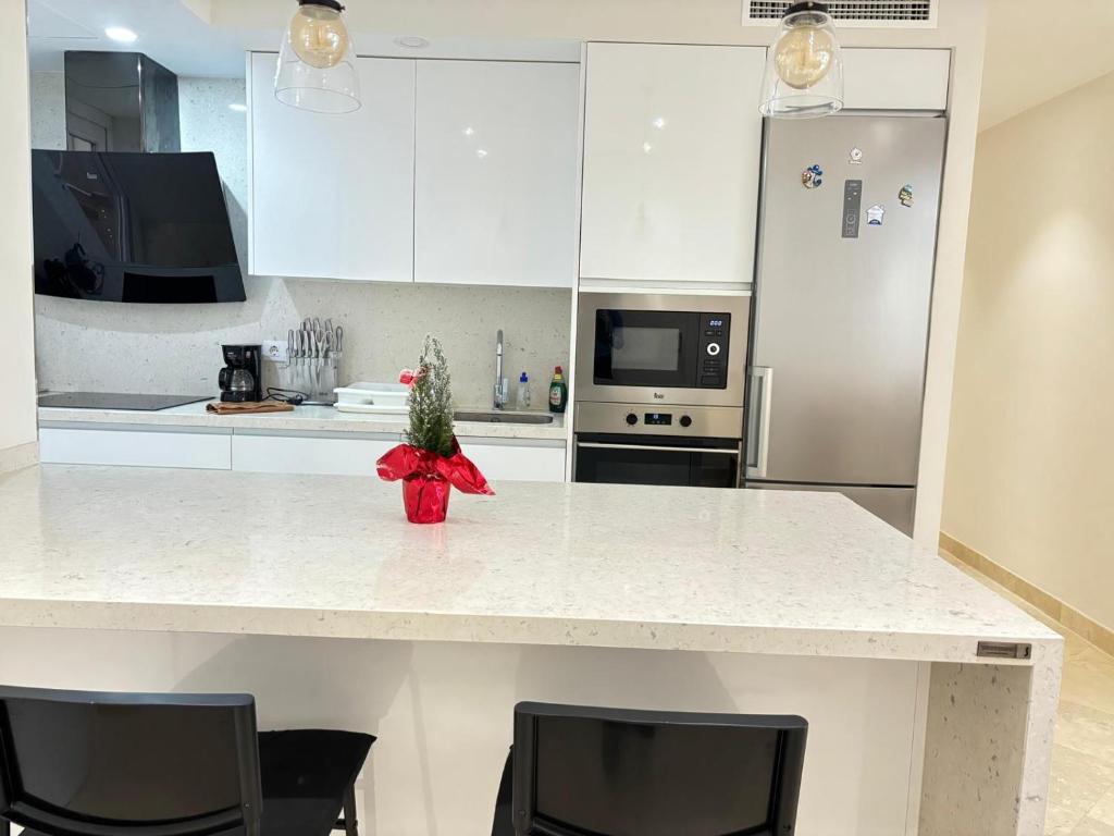 Kuchyňa alebo kuchynka v ubytovaní Rentaly Holidays Apartamento Playa Almeria