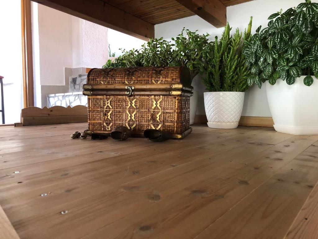 Fotografie z fotogalerie ubytování Geni Guest House v destinaci Gjirokastër