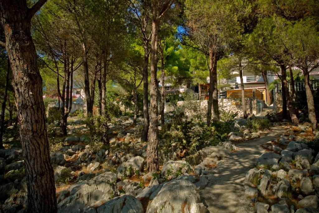 Príroda v okolí apartmánu