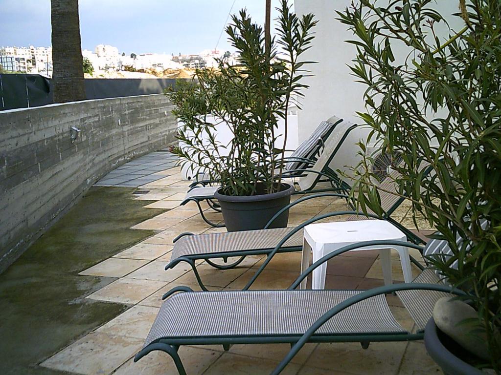 Fotografie z fotogalerie ubytování Panklitos Tourist Apartments v destinaci Paphos City