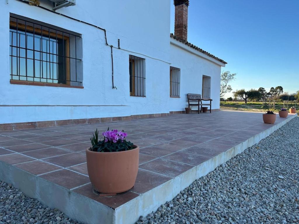 a patio in front of a white building with flowers at La Casita Soler The Soler Cottage in Arbós