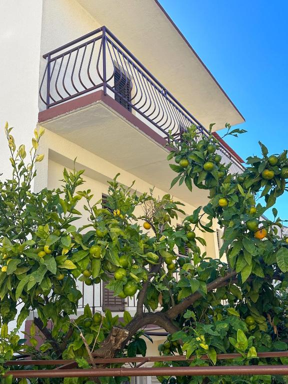 a balcony on the side of a building with a tree at Niko Apartments in Drvenik