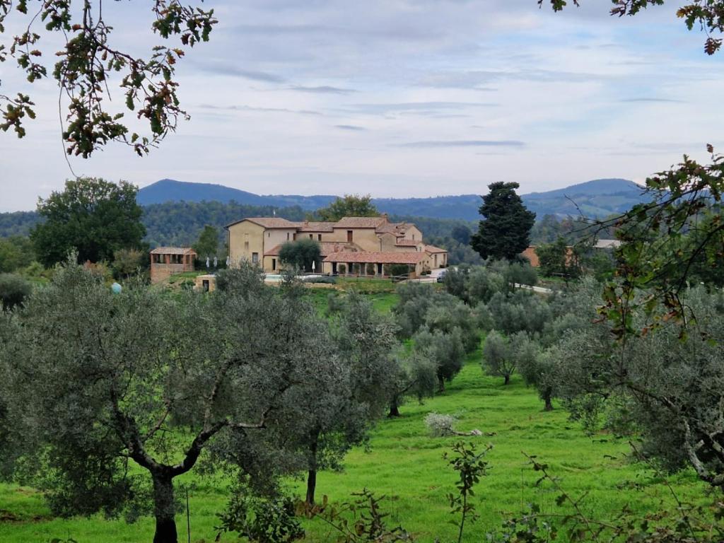 Palazzo Massaini - Cavarciano - 17