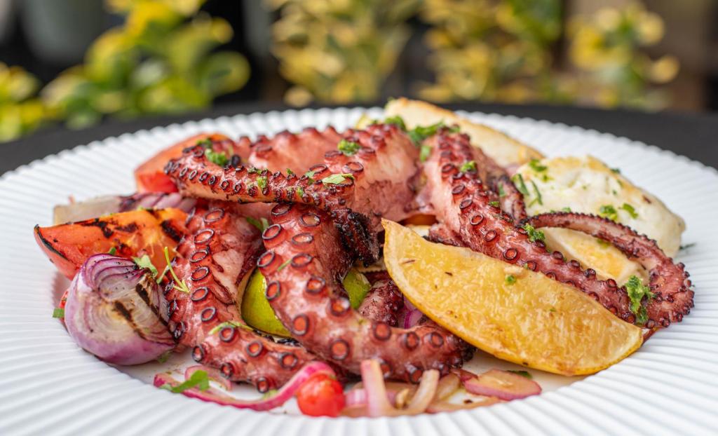 Paj Hotelul Retreat & Spa - Resim 40