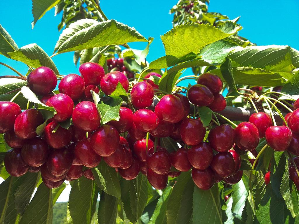 Derechos de imagen reservados por Booking.com