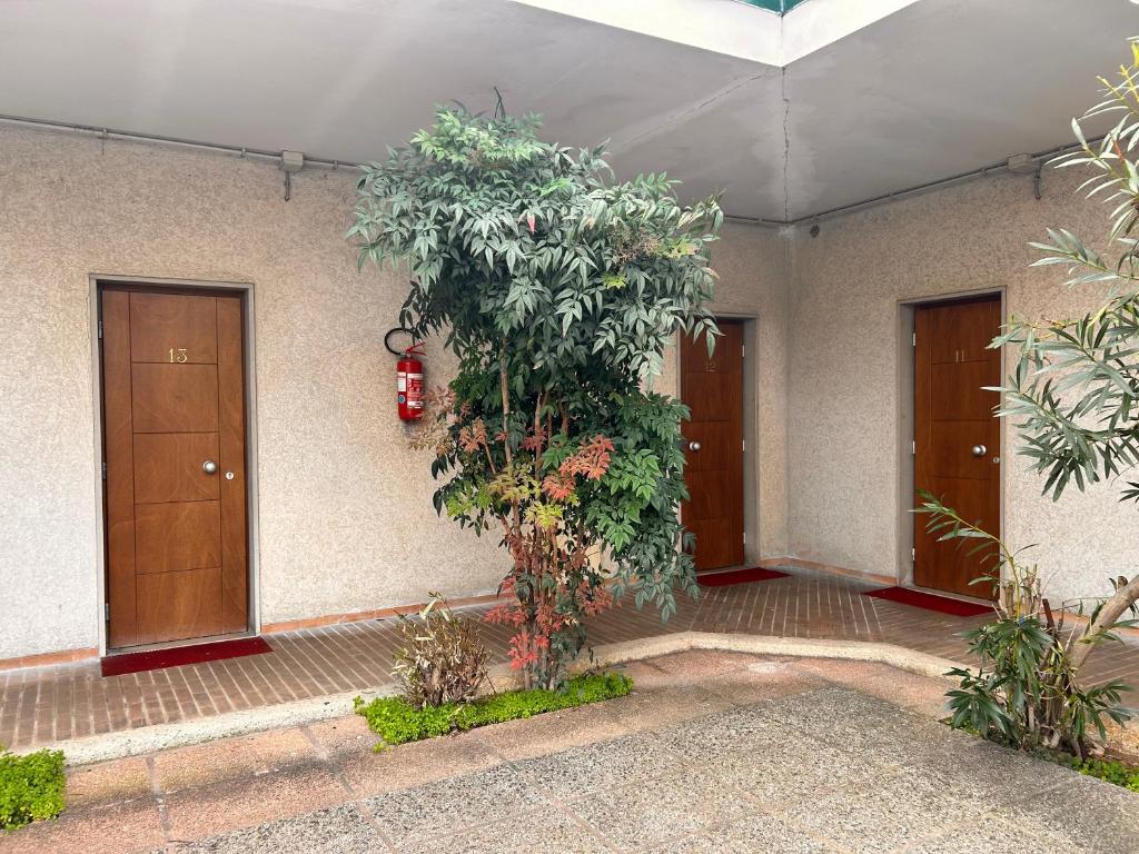 Zahrada ubytování Hotel Moderno