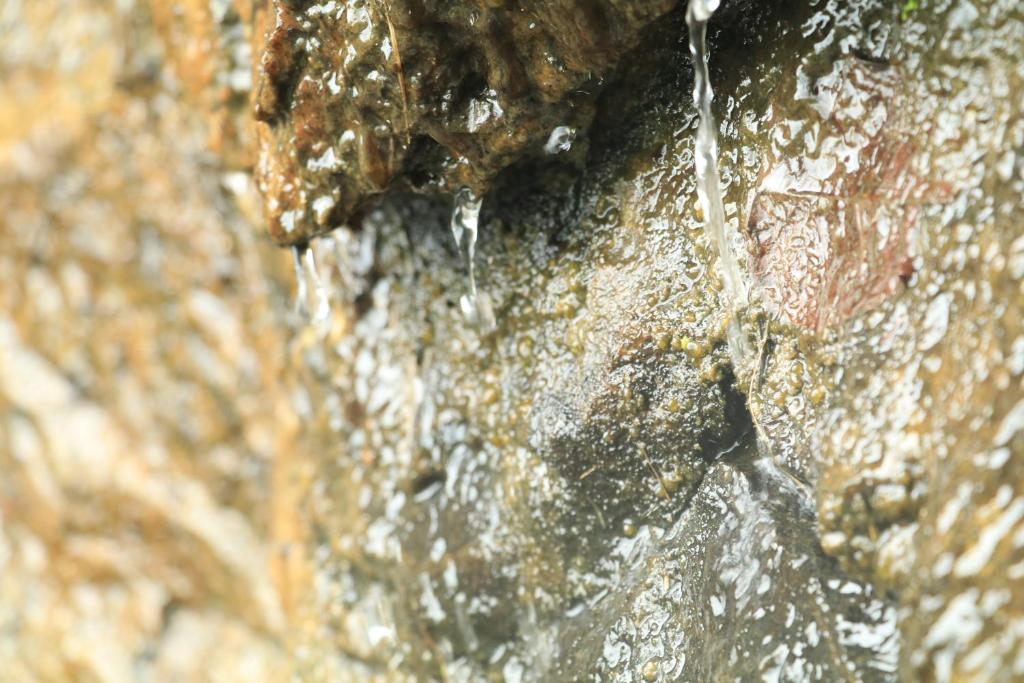 Fotografie z fotogalerie ubytování Meeyan Ella Rest v destinaci Ihalakotte