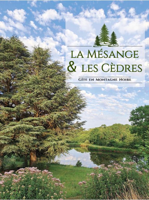 une image d'un lac avec un arbre et les mots la message et les echoes dans l'établissement Maison vue sur lac en moyenne montagne, à Pradelles-Cabardès