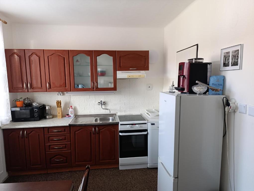 a kitchen with wooden cabinets and a white refrigerator at Apartmán Černá v Pošumaví Adam a Eva in Černá v Pošumaví