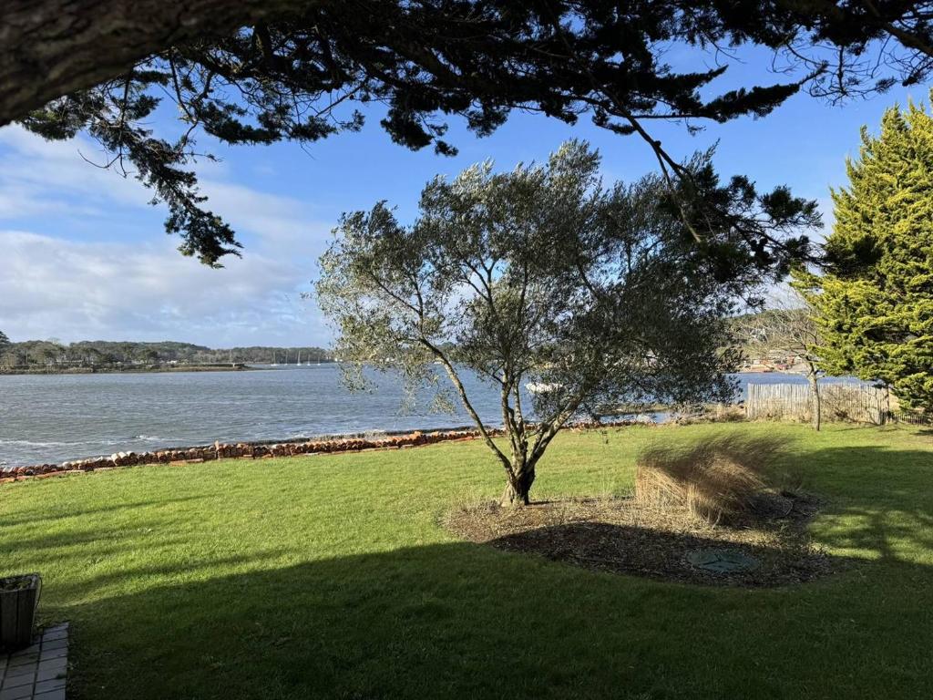 Photo de la galerie de l'établissement Ancien atelier d'ostréiculteur, les pieds dans l'eau, à La Trinité-sur-Mer